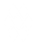WEALTHMATIX Logo White